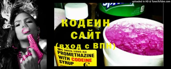 мескалин Ельня