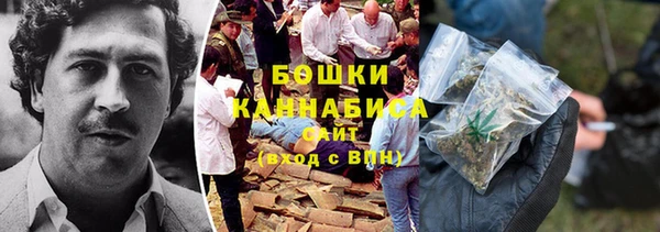 мескалин Ельня