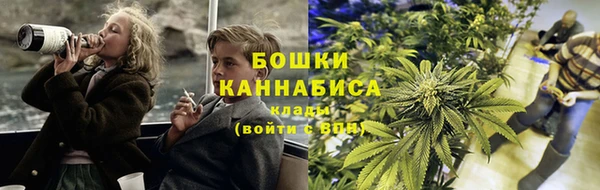 крисы Заводоуковск