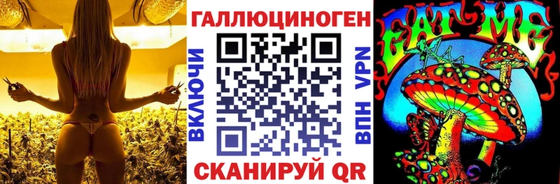 продажа наркотиков  Кадников  Галлюциногенные грибы MAGIC MUSHROOMS 